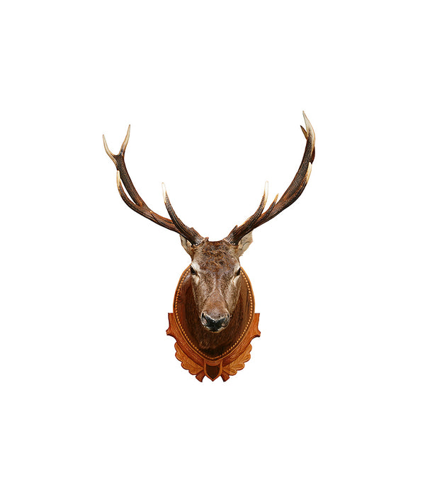 Wall Decoration